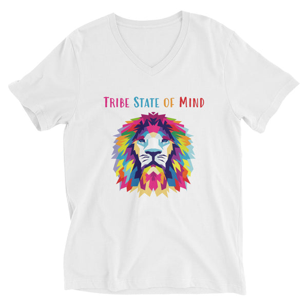 Tribe State of Mind